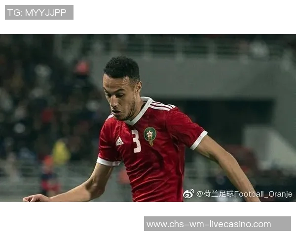 荷兰足球教练的战术智慧与培养年轻球员的成功之道